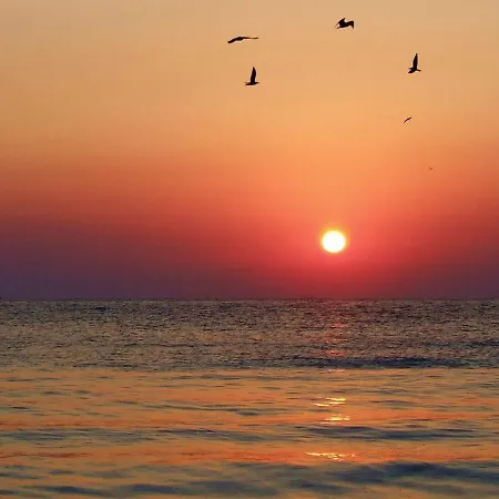 Solid Luxury Studio * Mamaia